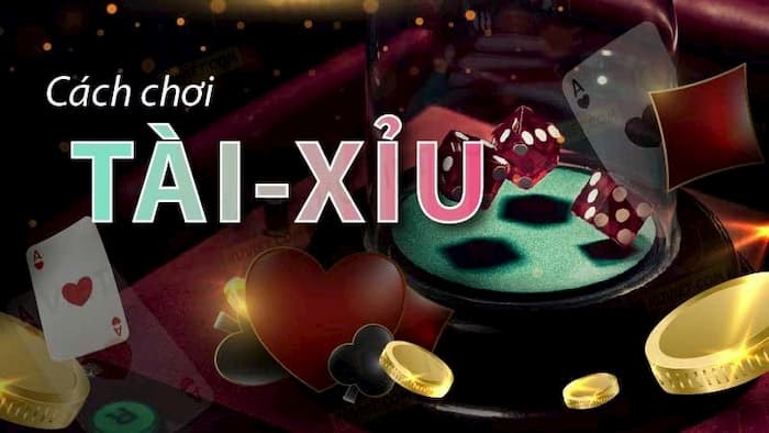 Cách chơi tài xỉu tốt nhất