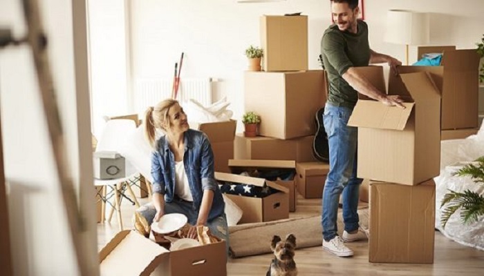 Đánh con gì chính xác khi mơ thấy chuyển nhà 