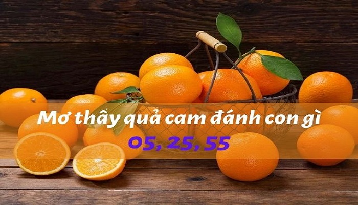 Mơ thấy quả cam đánh con gì dễ trúng nhất mang đến cơ hội trúng lớn 