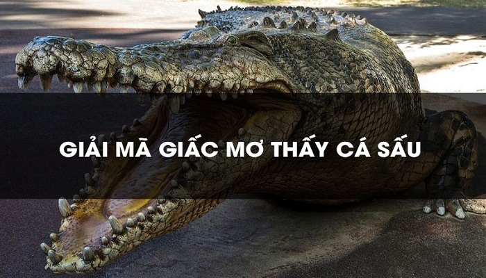 Giấc mơ thể hiện bạn có khả năng đương đầu với mọi khó khăn, thử thách trong cuộc sống