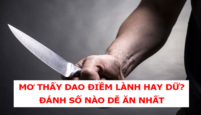 Mơ thấy dao đánh con gì giúp bạn trúng lớn