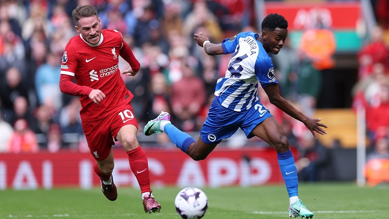 Dự đoán Brighton vs Liverpool kết quả 1-2