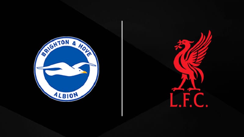 Tìm hiểu về trận đấu giữa Brighton vs Liverpool